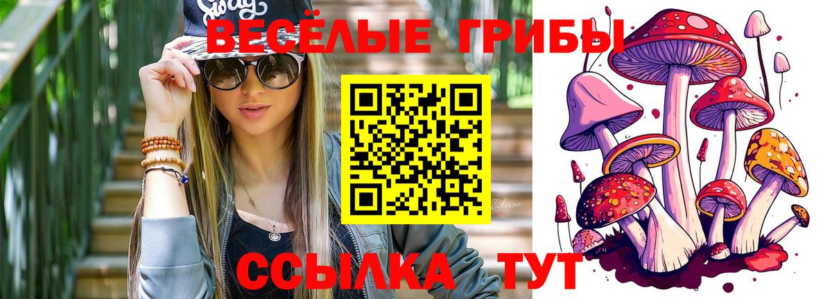 Псилоцибиновые грибы Psilocybine cubensis Спасск-Дальний